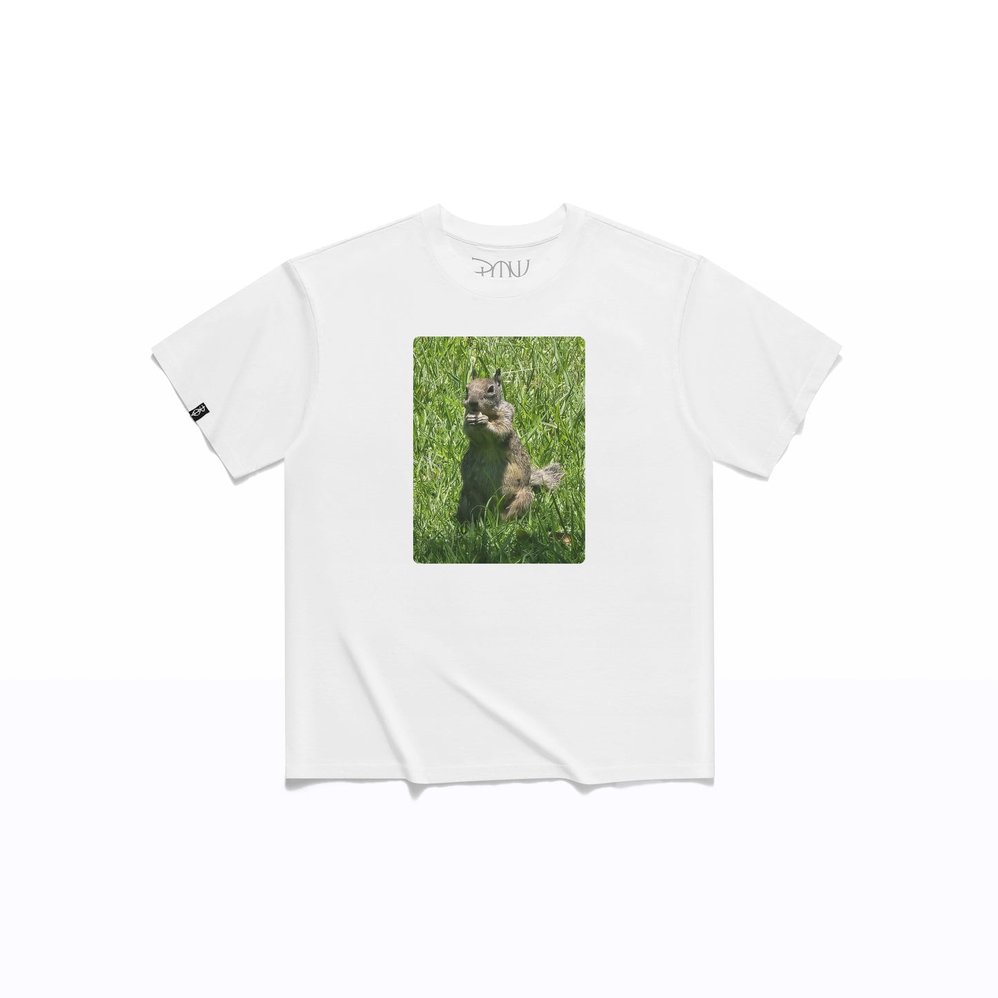 Squirrel Oversized T-Shirt