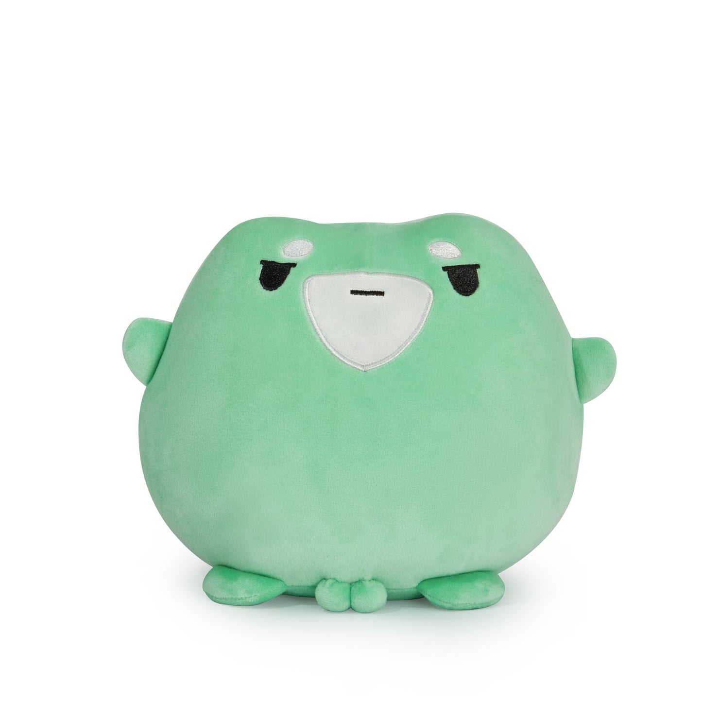 Frog Wizard Plush